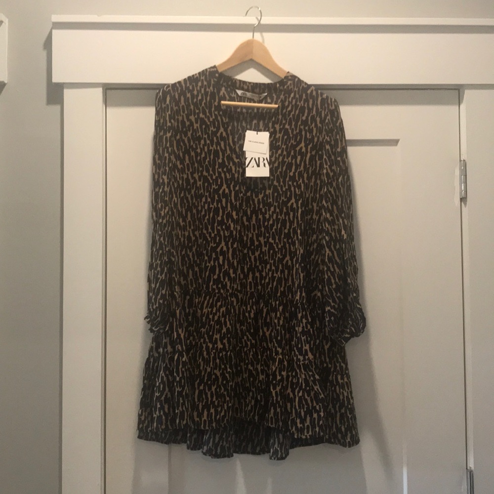 Zara Leopard Claris Swing Dress